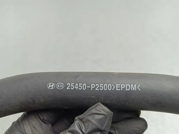 KIA Sorento IV Turboahdin vesiputki 25450P2500 image 4