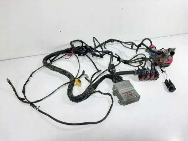 Stag LPG-kit OEM 67R-014903 4-Cilinder Controller image 6