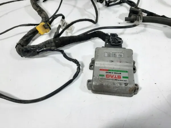 Stag LPG-kit OEM 67R-014903 4-Cilinder Controller image 7