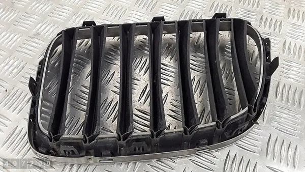 Griglia BMW X1 E84 2011 51112993308 image 2