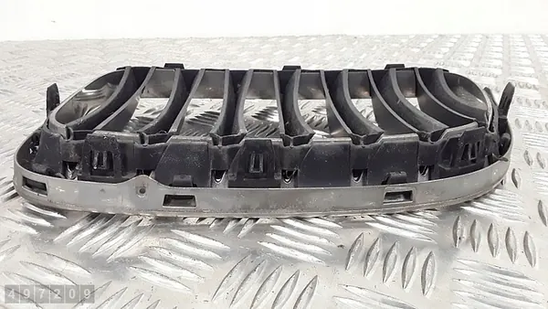 Griglia BMW X1 E84 2011 51112993308 image 3