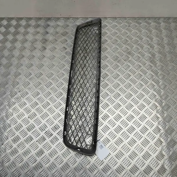 Griglia Centrale Paraurti BMW X5 (E70) 51117163956 image 2