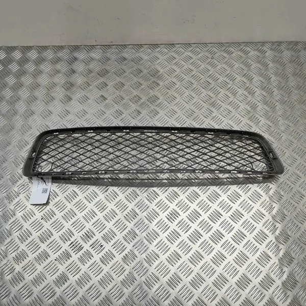 Griglia Centrale Paraurti BMW X5 (E70) 51117163956 image 3