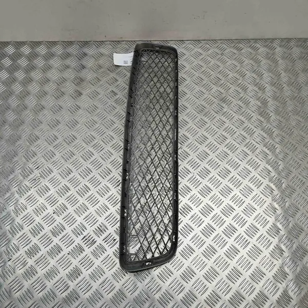 Griglia Centrale Paraurti BMW X5 (E70) 51117163956 image 4