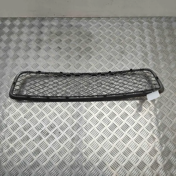 Griglia Centrale Paraurti BMW X5 (E70) 51117163956 image 5