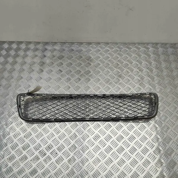 Griglia Centrale Paraurti BMW X5 (E70) 51117163956 image 6