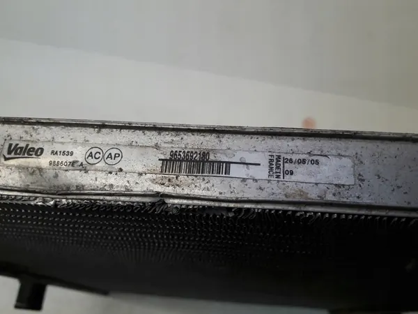 Citroen OE 9653692180 image 3