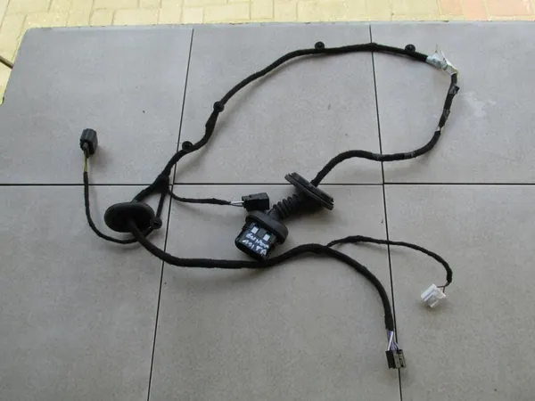Rear Right Door Wiring Ford Ecosport 2014 image 1