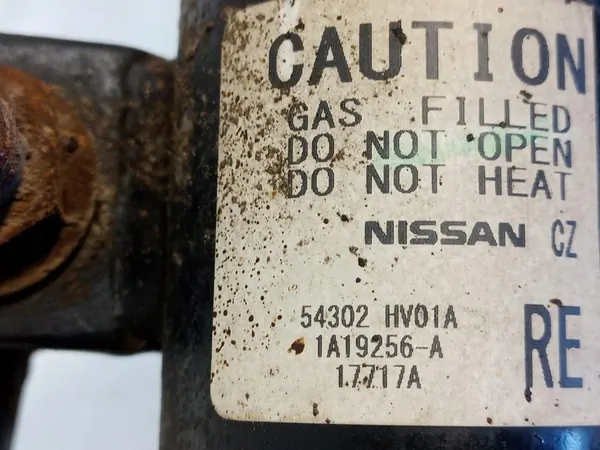 McPherson Destro Anteriore Nissan Qashqai II J11 54302HV01A image 3