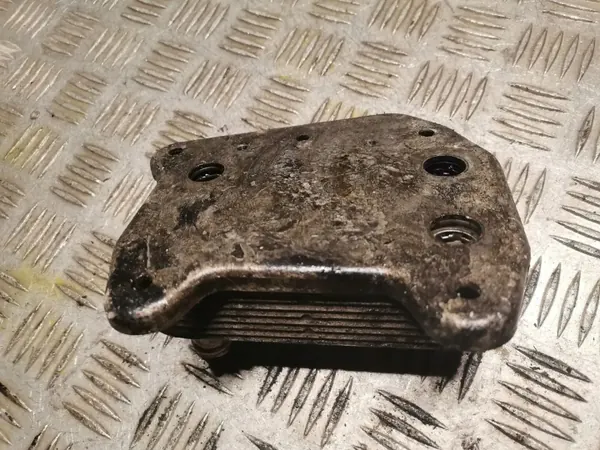 Arrefecedor óleo caixa Mercedes-Benz C W203 OEM 6111880301 image 3