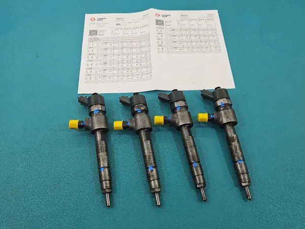 Getesteter Einspritzsatz OEM 0445110276 für Opel Vectra C image 2