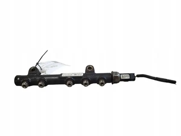 Ruiskutuskaide OEM 968529758002 Volvo V70 III 1.6L image 2