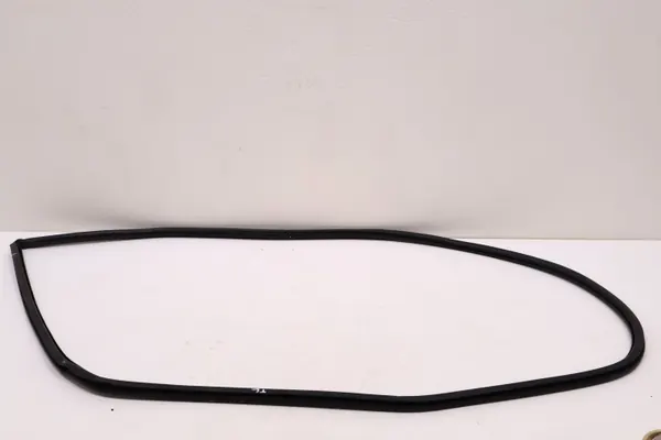 Junta puerta trasera izquierda Lexus RX IV OEM 1206091786 image 2