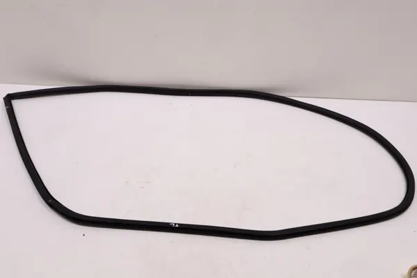 Junta puerta trasera izquierda Lexus RX IV OEM 1206091786 image 5