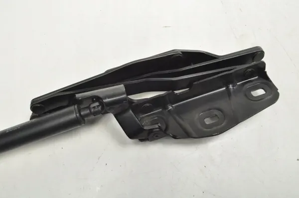 OEM 105658003 Bisagra Maletero Peugeot 308 CC Derecha Trasera image 10