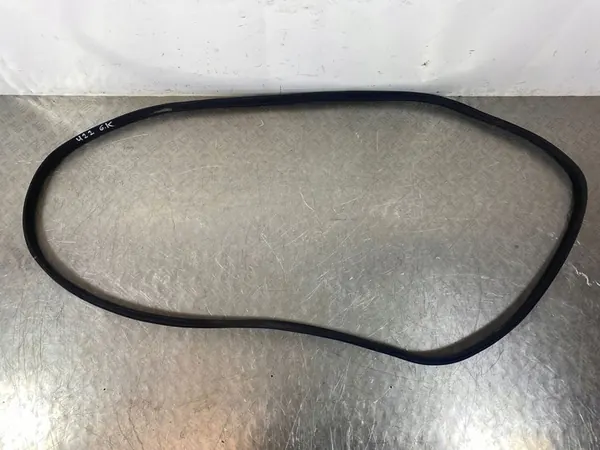 2022 KIA Sorento IV Vedação da Porta Traseira image 3