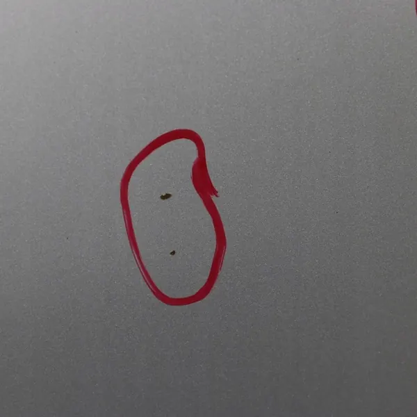 MERCEDES C W203 Motorhuv Silver Brilliant image 6