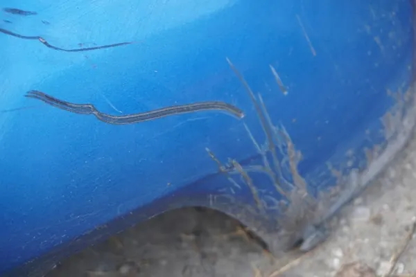 TOYOTA YARIS II Paraurti Posteriore 8T0 52159-0D976 image 7