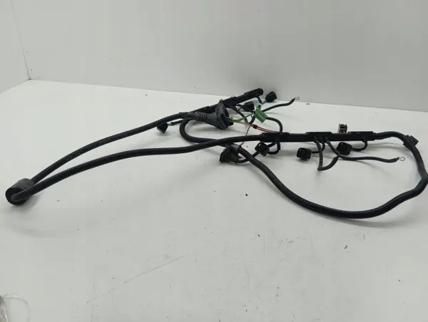 Faisceau injecteur BMW X5 E53 2006 OEM 53781210 image 3