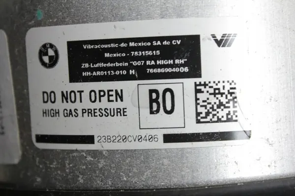 Amortizzatore Posteriore Destro Completo BMW G07 X7 image 3