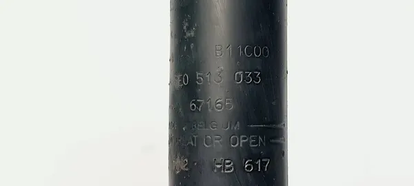 Ammortizzatore Posteriore Sinistro Audi A4 B6 image 2