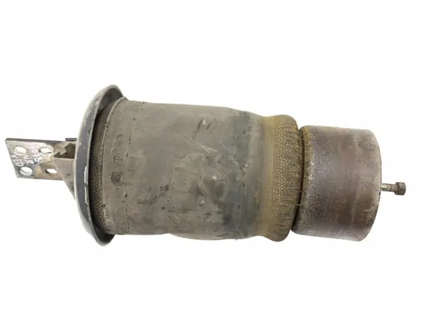 Iveco OEM 8188522 Luchtveer, linker aandrijfas image 5