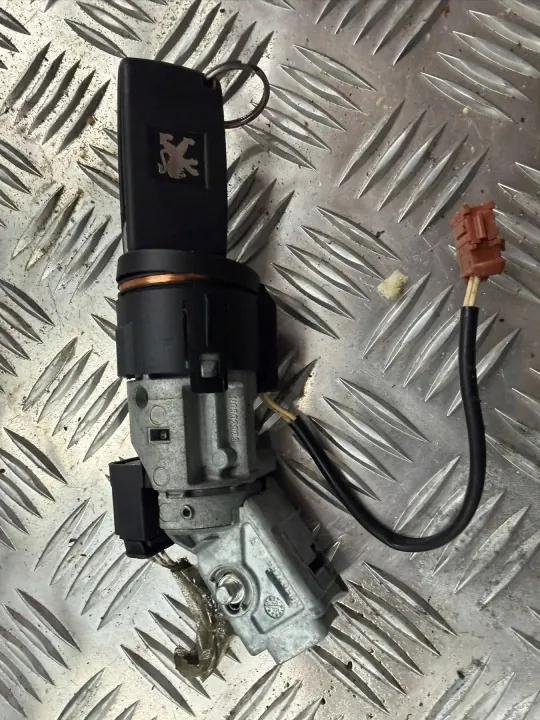 OEM 8202090N Ontsteekslot Voor Peugeot 407 image 4