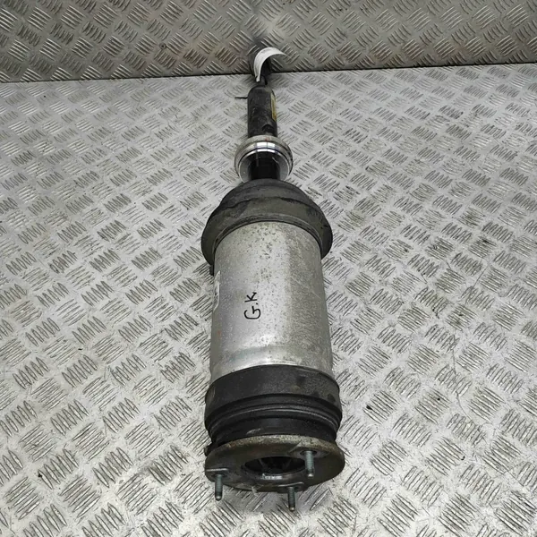 Hinterer linker Luftdämpfer Tesla Model X OEM 102746100E image 2