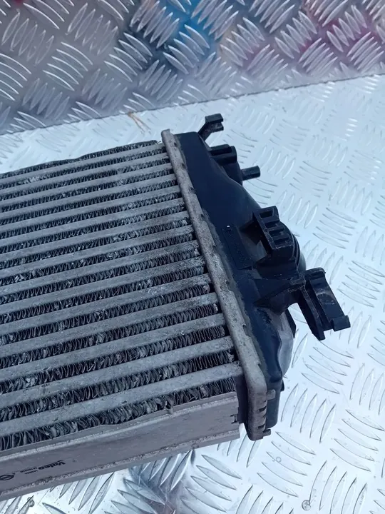 Nissan Qashqai II J11 Intercooler 14461-4EA0A image 3