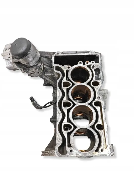 Bloco Motor BMW N43B20A 2.0L 16V 122-143CV image 3