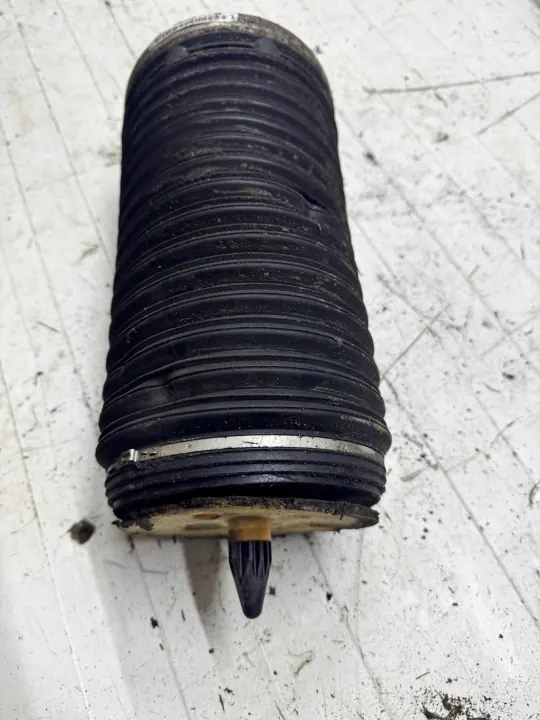 Muelle de aire trasero izquierdo OEM 4G0616001T Audi A6 C7 image 2