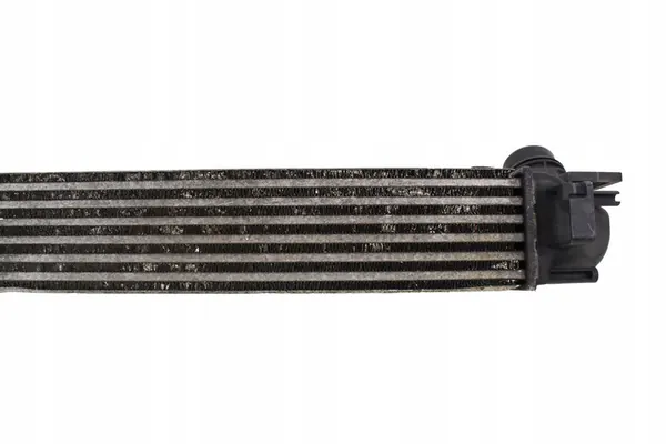 Intercooler Renault Scenic III 1.4 TCE 2009-2016 image 6