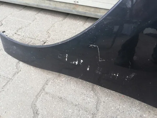 Fram vänster skärm Citroen C3 II DS3 10-16 OEM image 2