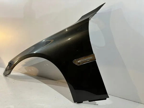 BMW 7 F01 / F02 Parafango Anteriore Sinistro - 13908 image 3
