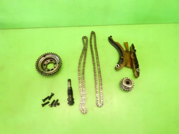 Timing Chain Guide FORD TRANSIT CONNECT MK1 FL 1.8 TDCI image 2