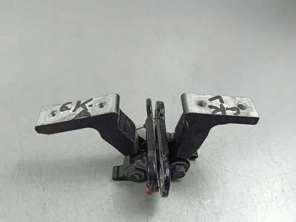 2020 Volvo XC90 Hintere Türscharniere OEM FOB51699 image 4