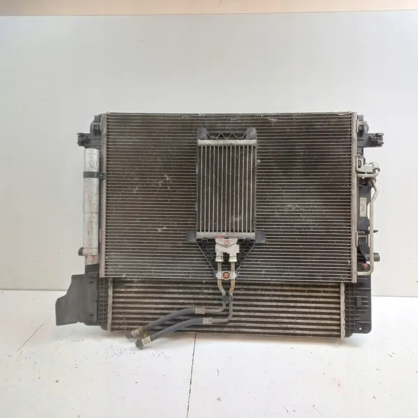 Radiador 2016 Mercedes-Benz Sprinter W906 A9065000554 image 7