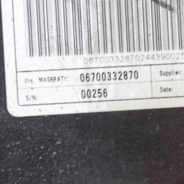 Brandstofdampfilter OEM 670036927 voor Maserati image 6