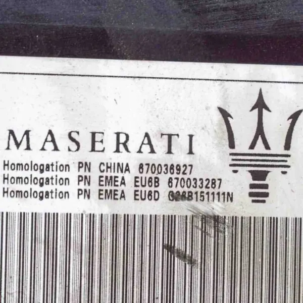 Brandstofdampfilter OEM 670036927 voor Maserati image 7