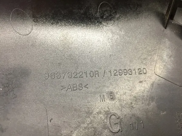 Copertura specchio sinistro Renault Scenic IV image 4