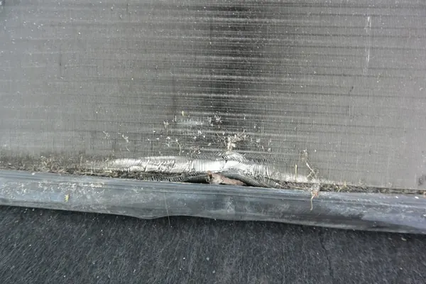 Radiador de agua 2.5 SE VW Passat B7 Jetta Beetle USA OEM image 7