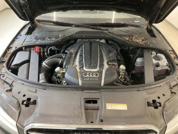 Compresor Audi A8 OEM bt-cars-37206 Usado image 10