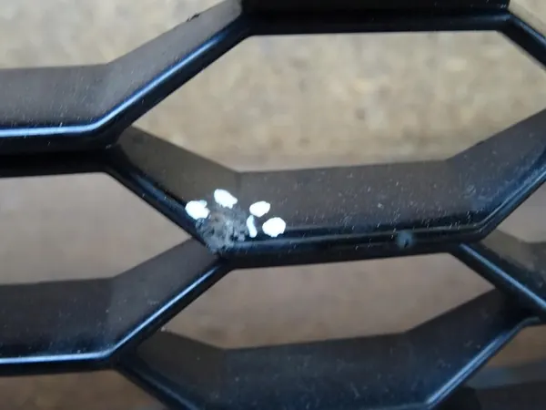 AUDI RSQ3 RS Q3 8U Parachoques delantero completo Grill OEM image 9