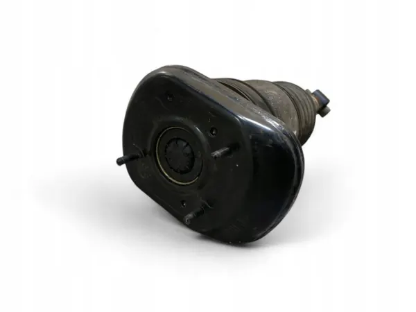 BMW OE 6882825 Achter luchtvering schokdemper image 3