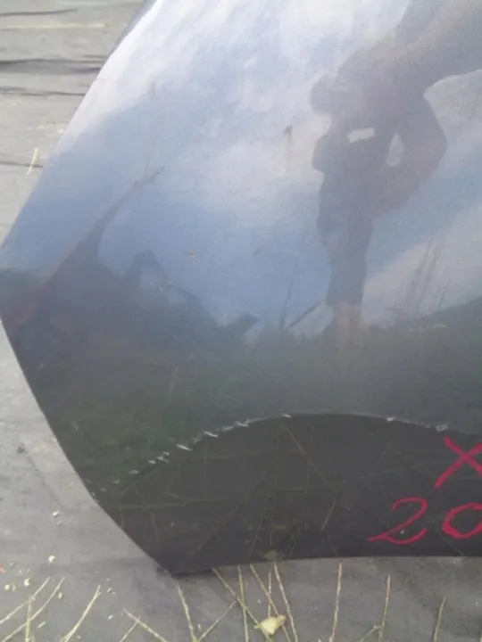 Paraurti anteriore PEUGEOT 207 2007- OEM 7401 EQ image 2