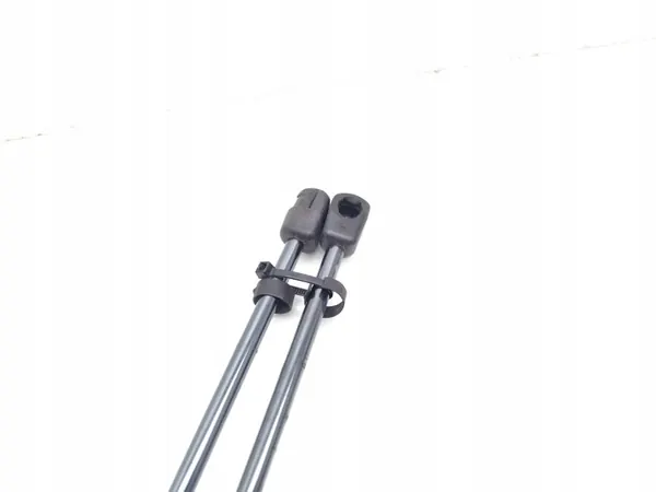Heckklappendämpfer Ford Puma OEM L1TB-S406A10-AC image 6