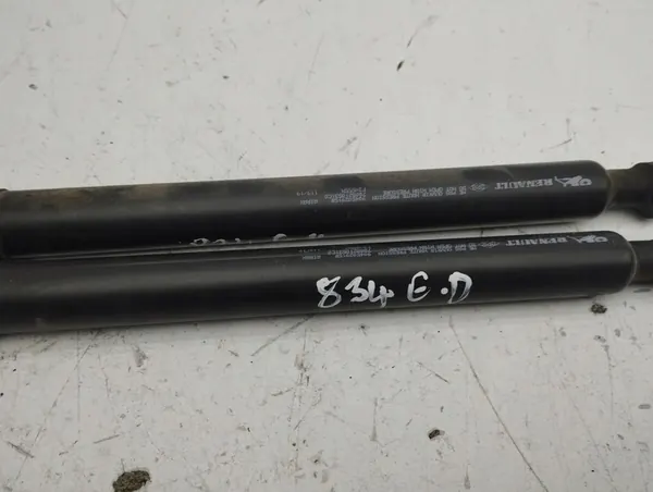 Bakstötdämpare Renault Zoe 2019 image 5