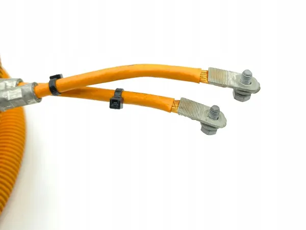 Cabo de alta tensão Tesla Model S 2015 103967400A image 2