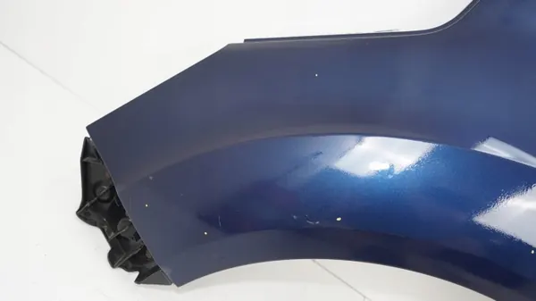 Para-lamas dianteiro esquerdo OEM 360202416 Ford C-Max MK2 image 4