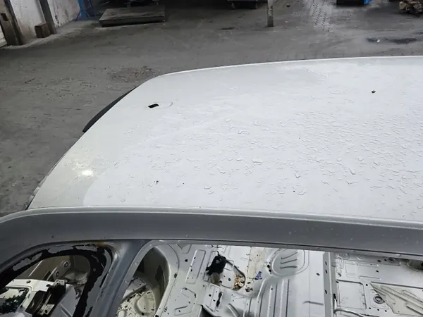 Techo Skoda Scala OEM IMPRK1539232 - Plata LA7W image 3